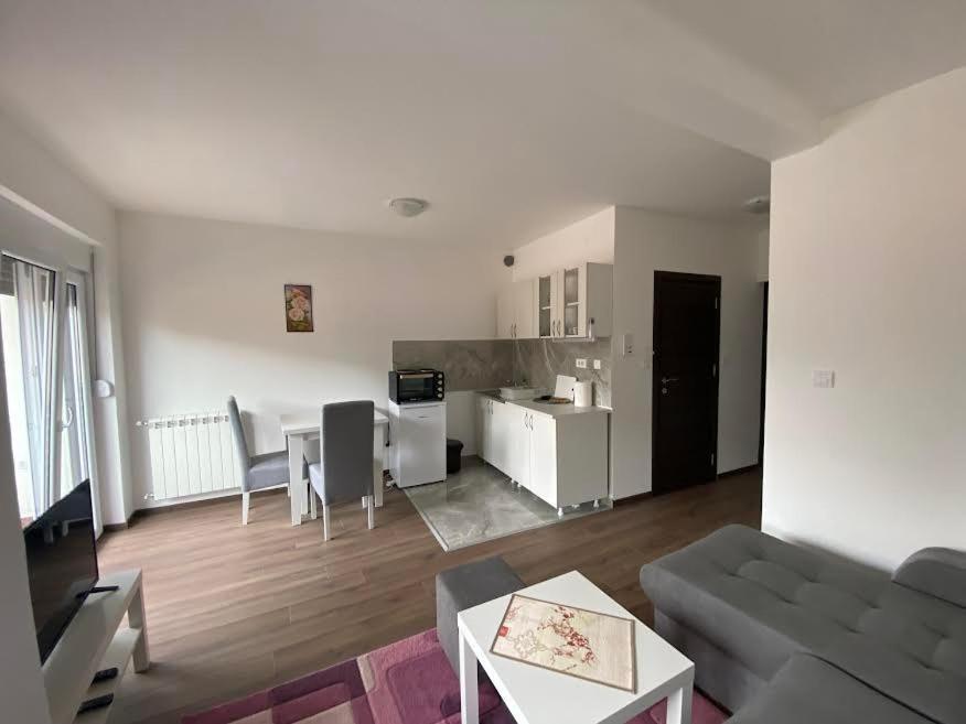 Dom Apartmani Kragujevac Zewnętrze zdjęcie